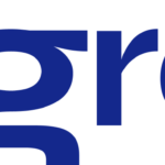 Gi Group HR Solutions